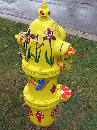 131 S Summit - Dragonfly and Friends (2)